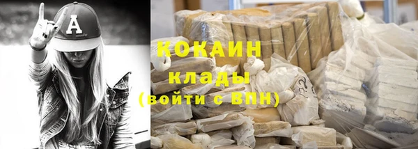шишки Алзамай